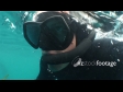 Diver 1388